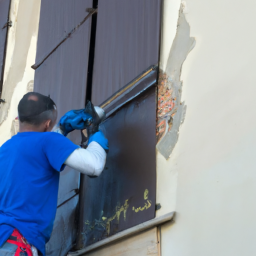 Crépis : optez pour une façade rustique et chaleureuse Loos